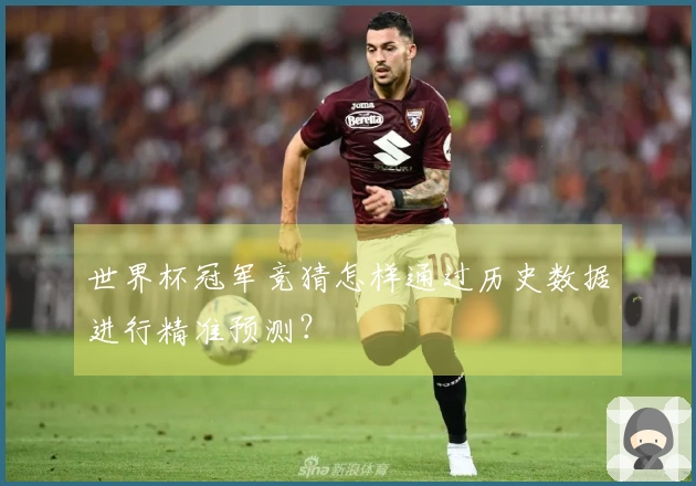 世界杯冠军竞猜怎样通过历史数据进行精准预测？