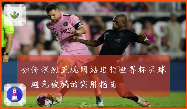 如何识别正规网站进行世界杯买球，避免被骗的实用指南