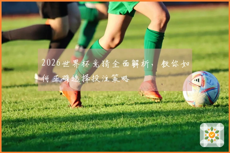 2026世界杯竞猜全面解析，教你如何正确选择投注策略
