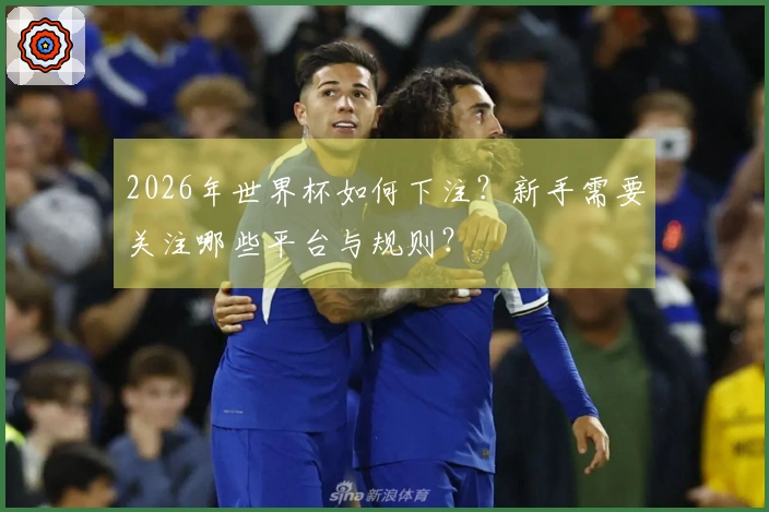 2026年世界杯如何下注？新手需要关注哪些平台与规则？