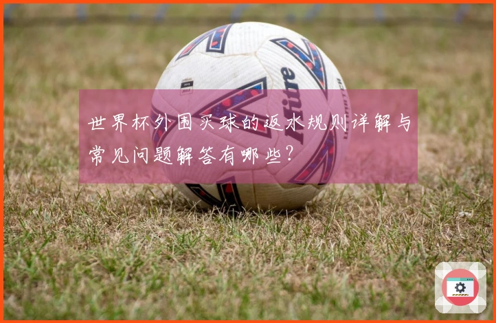 世界杯外围买球的返水规则详解与常见问题解答有哪些？