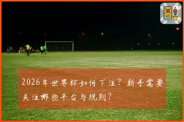 2026年世界杯如何下注？新手需要关注哪些平台与规则？