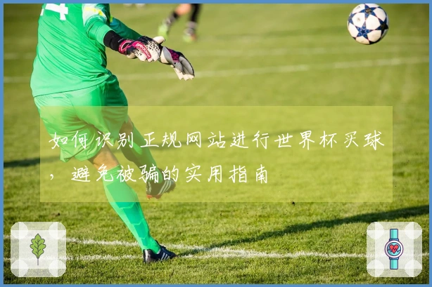 如何识别正规网站进行世界杯买球，避免被骗的实用指南
