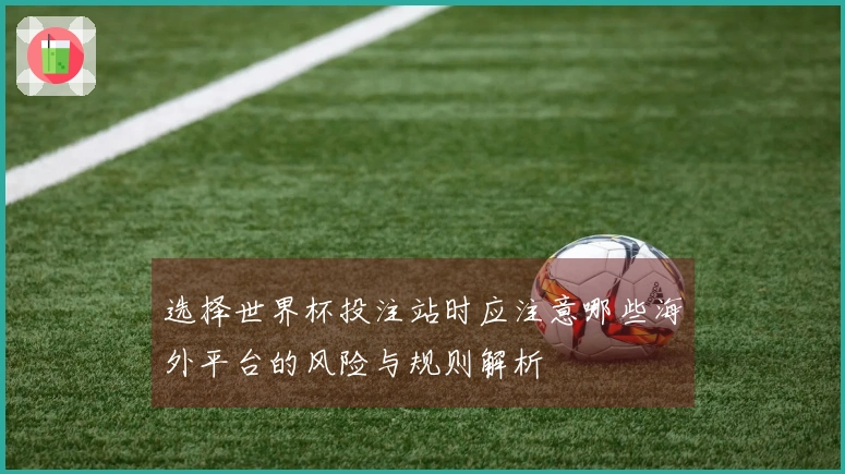 选择世界杯投注站时应注意哪些海外平台的风险与规则解析