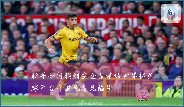 新手如何找到安全靠谱的世界杯买球平台并避免常见陷阱
