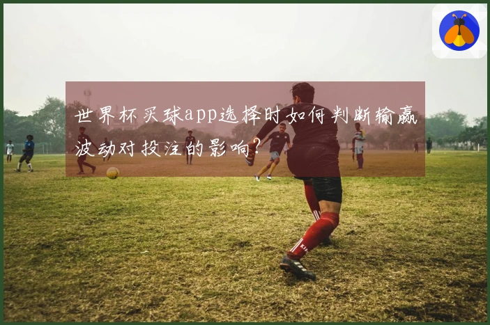 世界杯买球app选择时如何判断输赢波动对投注的影响？