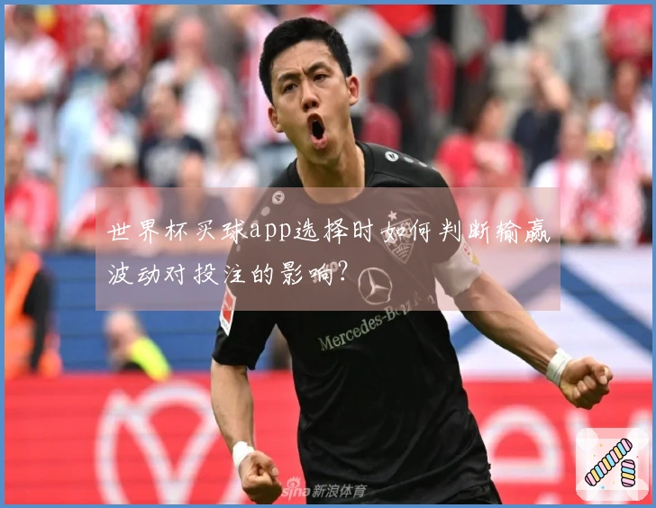 世界杯买球app选择时如何判断输赢波动对投注的影响？