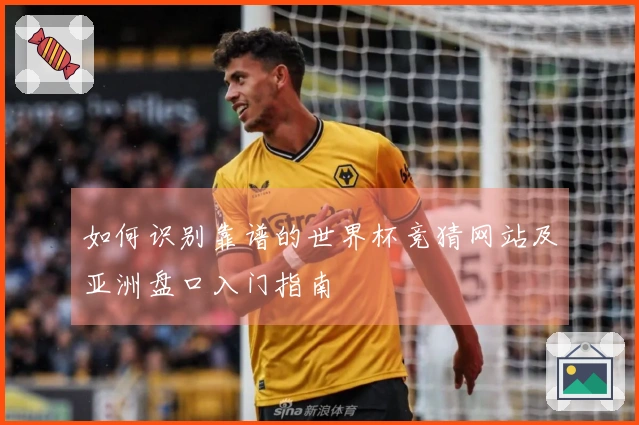 如何识别靠谱的世界杯竞猜网站及亚洲盘口入门指南