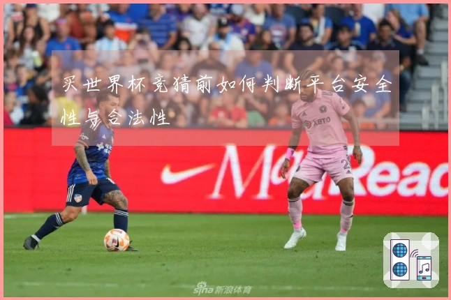 买世界杯竞猜前如何判断平台安全性与合法性