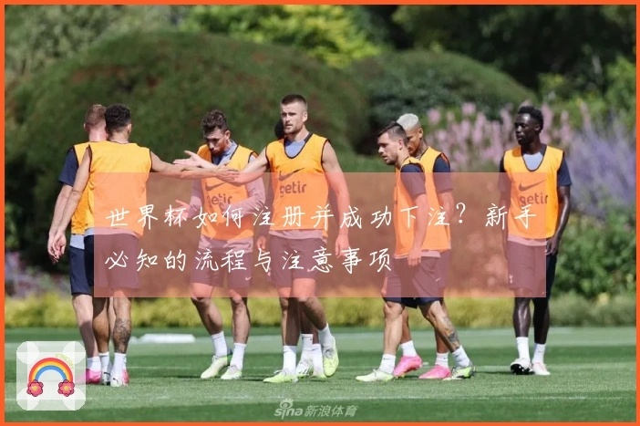 世界杯如何注册并成功下注？新手必知的流程与注意事项