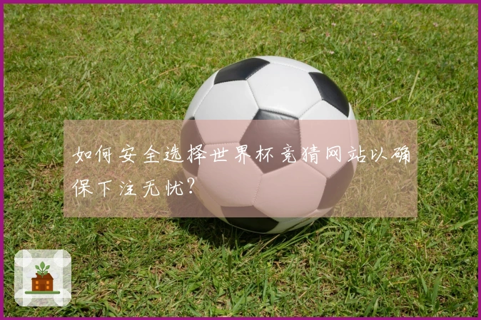 如何安全选择世界杯竞猜网站以确保下注无忧？