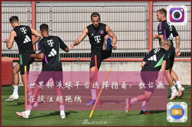 世界杯滚球平台选择指南，教你赢在投注起跑线
