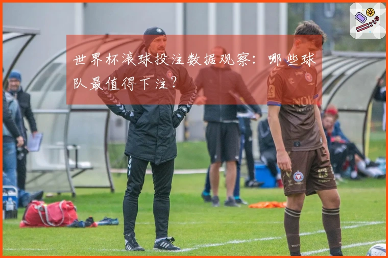 世界杯滚球投注数据观察：哪些球队最值得下注？