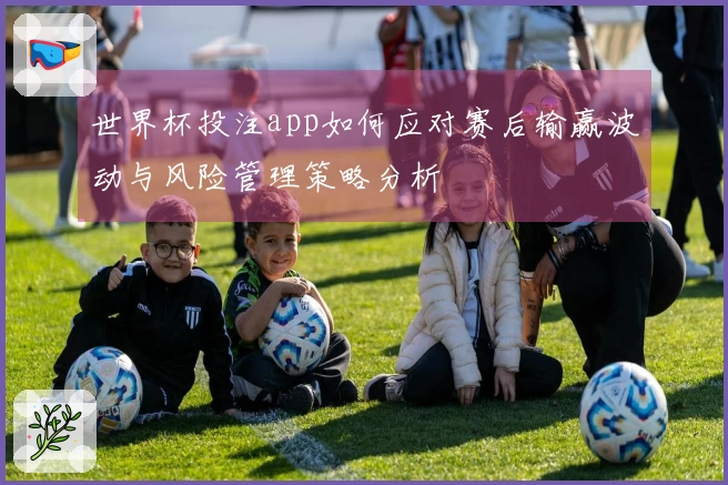 世界杯投注app如何应对赛后输赢波动与风险管理策略分析