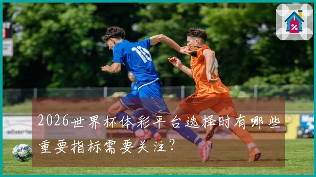 2026世界杯体彩平台选择时有哪些重要指标需要关注？
