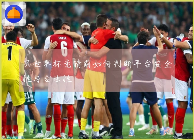 买世界杯竞猜前如何判断平台安全性与合法性