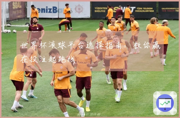 世界杯滚球平台选择指南，教你赢在投注起跑线