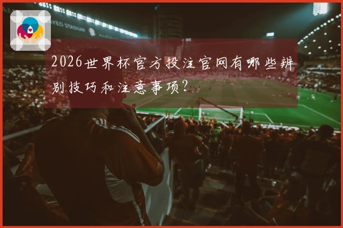 2026世界杯官方投注官网有哪些辨别技巧和注意事项？