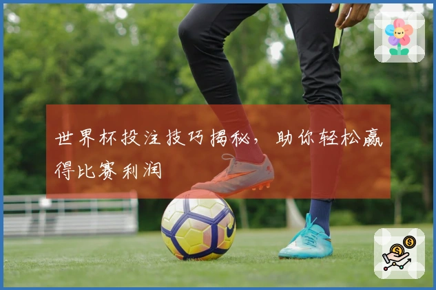 世界杯投注技巧揭秘，助你轻松赢得比赛利润