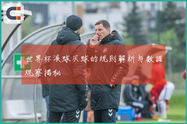 世界杯滚球买球的规则解析与数据观察揭秘
