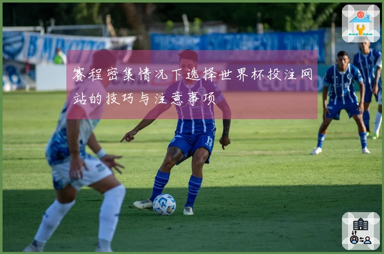赛程密集情况下选择世界杯投注网站的技巧与注意事项