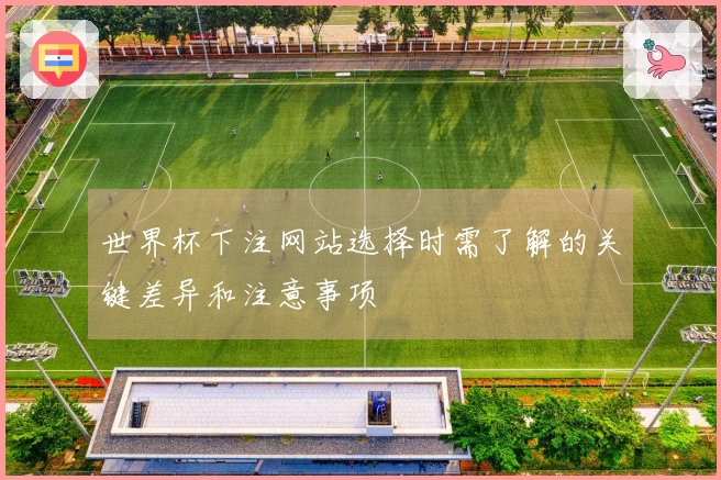 世界杯下注网站选择时需了解的关键差异和注意事项