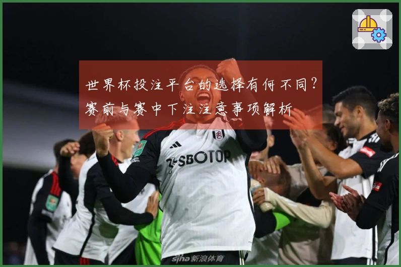 世界杯投注平台的选择有何不同？赛前与赛中下注注意事项解析
