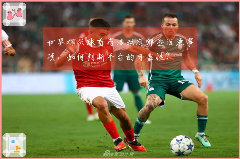 世界杯买球首存活动有哪些注意事项，如何判断平台的可靠性？