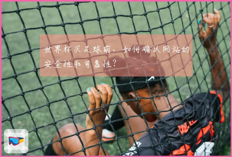 世界杯买足球前，如何确认网站的安全性和可靠性？