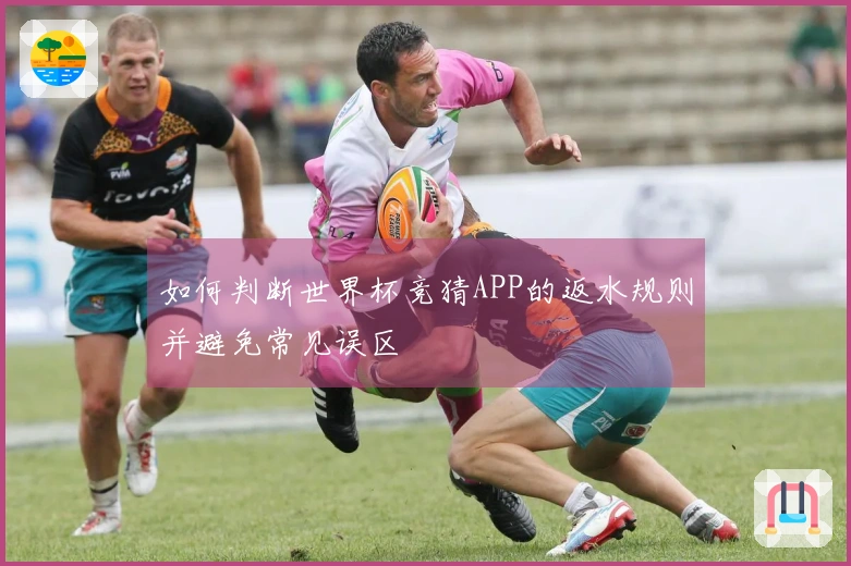 如何判断世界杯竞猜APP的返水规则并避免常见误区