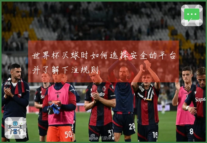 世界杯买球时如何选择安全的平台并了解下注规则
