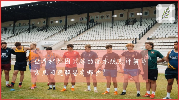世界杯外围买球的返水规则详解与常见问题解答有哪些？